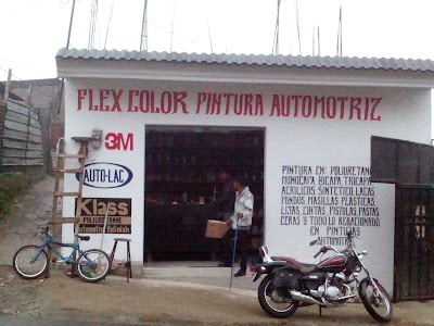 Photos of Flex color