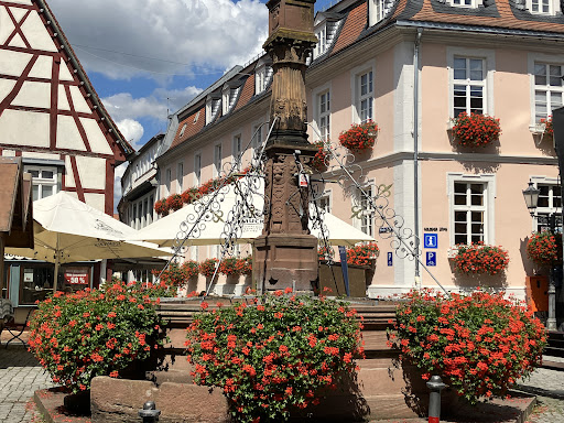 Schorfheide Touristik - Yvonne Fester - Thumbnail