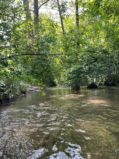 Wassertretanlage "An der kleinen Düssel" - Thumbnail
