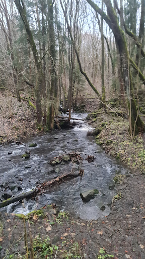 Gretenrain, Lichtenstein - Visual