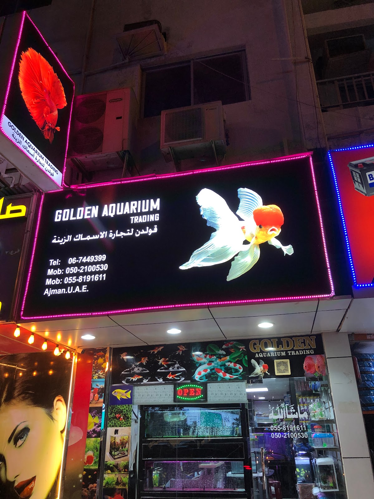 GOLDEN AQUARIUM - صورة 2