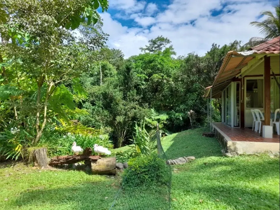 Cumarú Jungle Lodge - Cabañas - Hotel