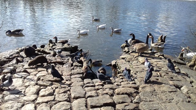 Parc de Bourran