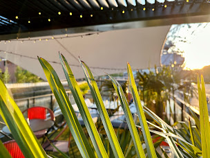 Photo n°66 de Blue Flamingo - Restaurant Flottant Insolite et Bar Rooftop à Strasbourg à Strasbourg (Bar)