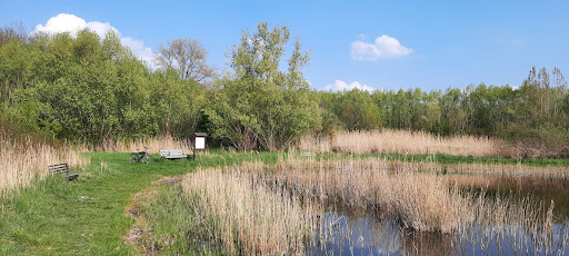 Schutzwald Schwansee - Visual