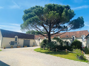 Photo n°10 de La Pillebourdière à Oisly (Hôtel)