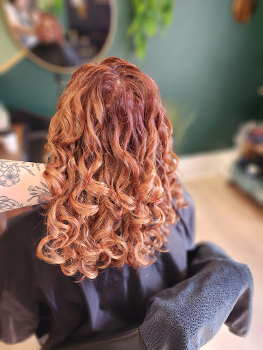PaintedCurly - Visual