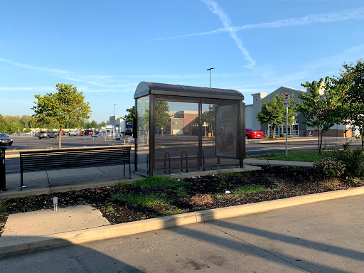 Walmart Outer Loop - Visual