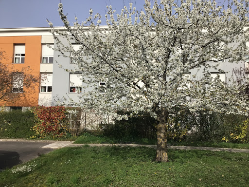 Photo de Résidence La Providence, Maison de retraite (EHPAD) à Troyes (10000)