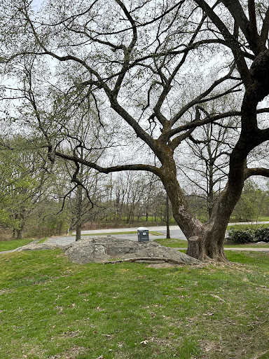Greenwood Local Park - Thumbnail