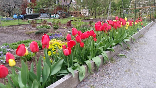 Vitabergsparken