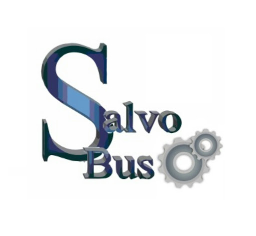 Salvo Bus - Visual