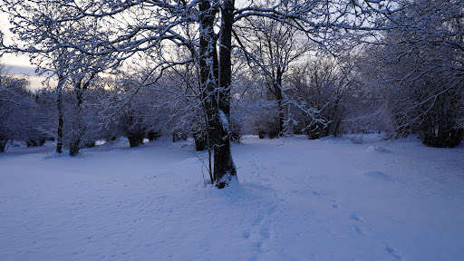 Hässlen - Visual