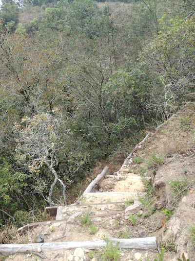 Photos of Magoebaskloof Canopy Tours