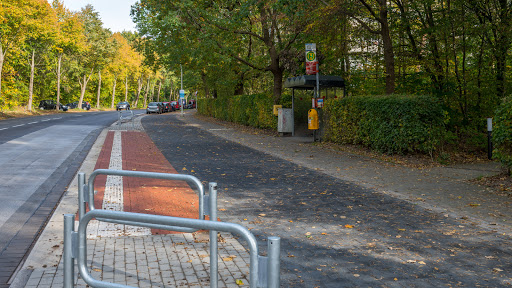 Hamburger Baum - Kiel - Thumbnail