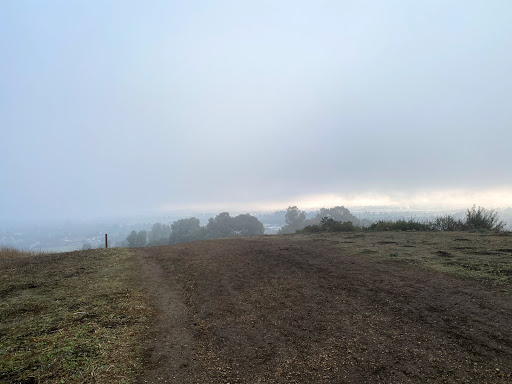 Crossfire Ranch - Visual