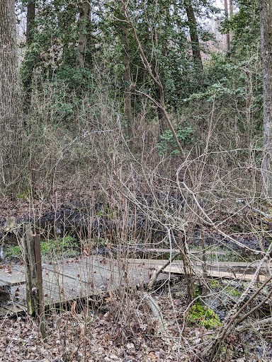 Evert Trail Preserve - Thumbnail