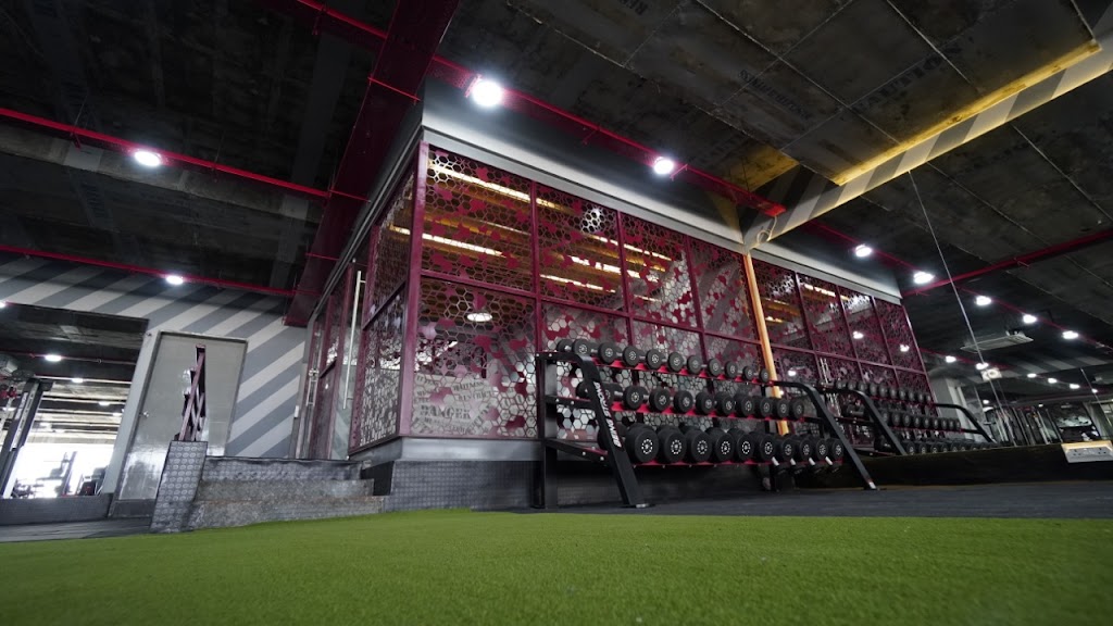 Muscletech Fitness Madinaguda