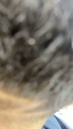 Photo n°20 de Coupe&barbe à Marseille (Salon de coiffure)