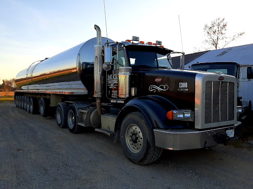 M G Trucking Inc - Thumbnail