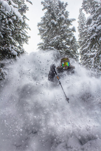 Buzz's Boards - Visual