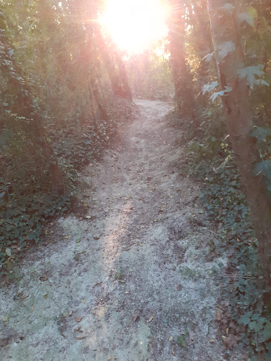 Buca Park - Visual