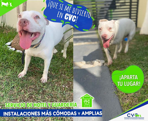 CENTRO VETERINARIO CÓRDOBA