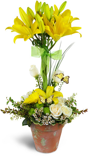 Mueller's Flower Shop - Thumbnail