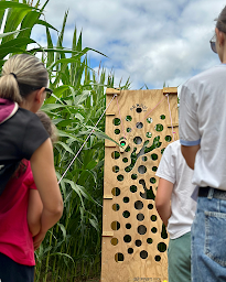 Photo n°10 de EARL BIO COCHON à Mauron (Ferme pédagogique)