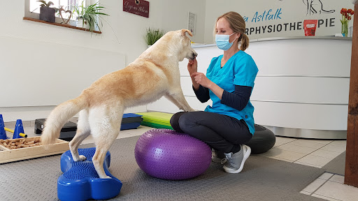 Tierphysiotherapie Eva Astfalk - Thumbnail