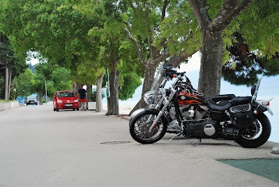Photos of Guesthouse Pension 31