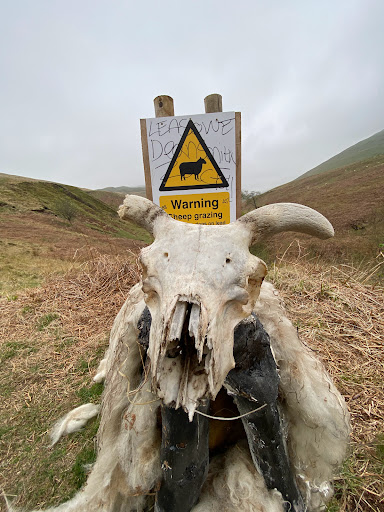 Bank Hill, Dollar, Clackmannanshire - Thumbnail