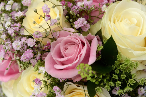 Sarah's Floral Studio Gallery - United Kingdom
