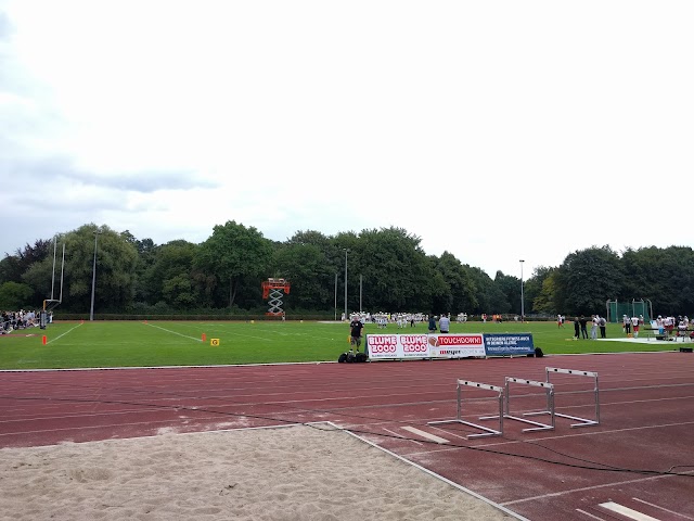 Hammer Park