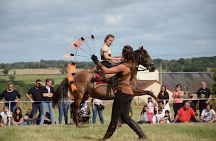 Photo n°6 de Vikinger - Spectacle Equestre Auvergne à Vergheas (Entraîneur de chevaux)
