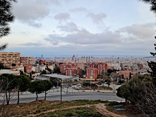 El Carmel Football Stadium - Thumbnail