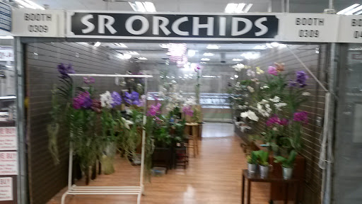 SR Orchids - Visual
