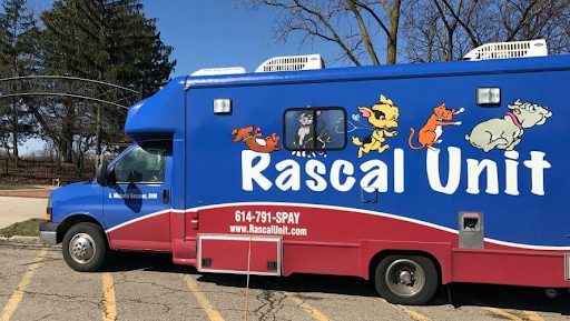 Rascal Unit - Visual
