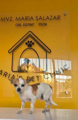 MARIA´S PET CLINIC VETERINARIA