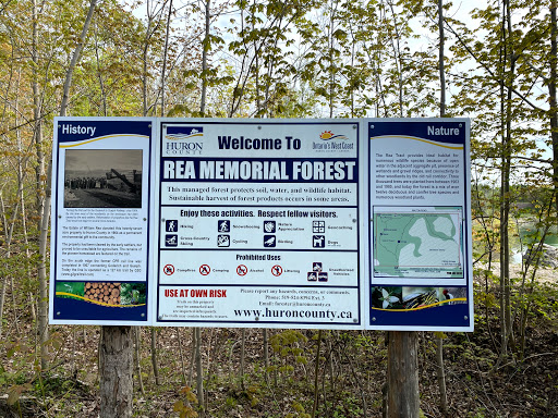 Rea Memorial Forest