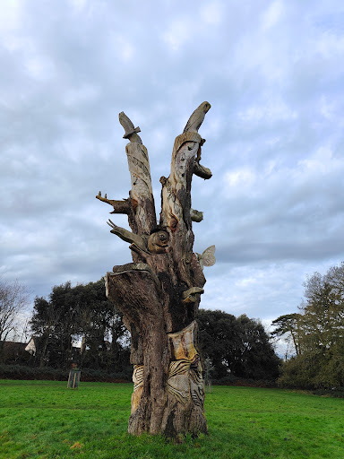 Stoke Lodge Playing Field - Thumbnail