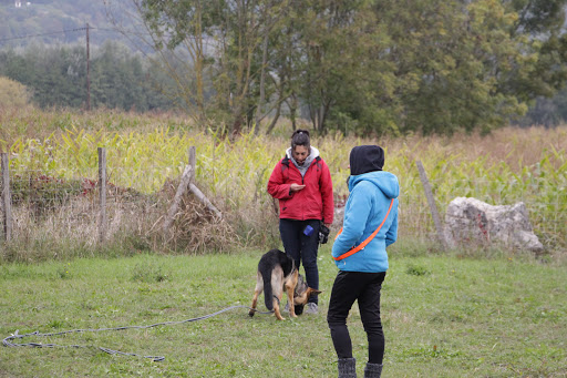 LES COMPAGNONS DU LIEN Gallery - France