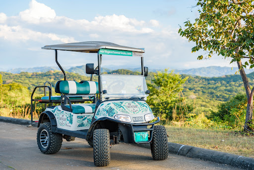 Earth Gear Golf Carts Tamarindo
