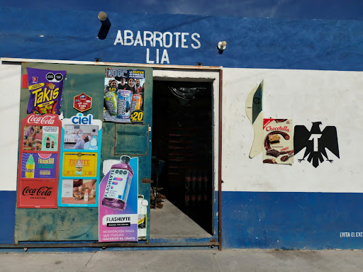 Abarrotes y Depósito LIA