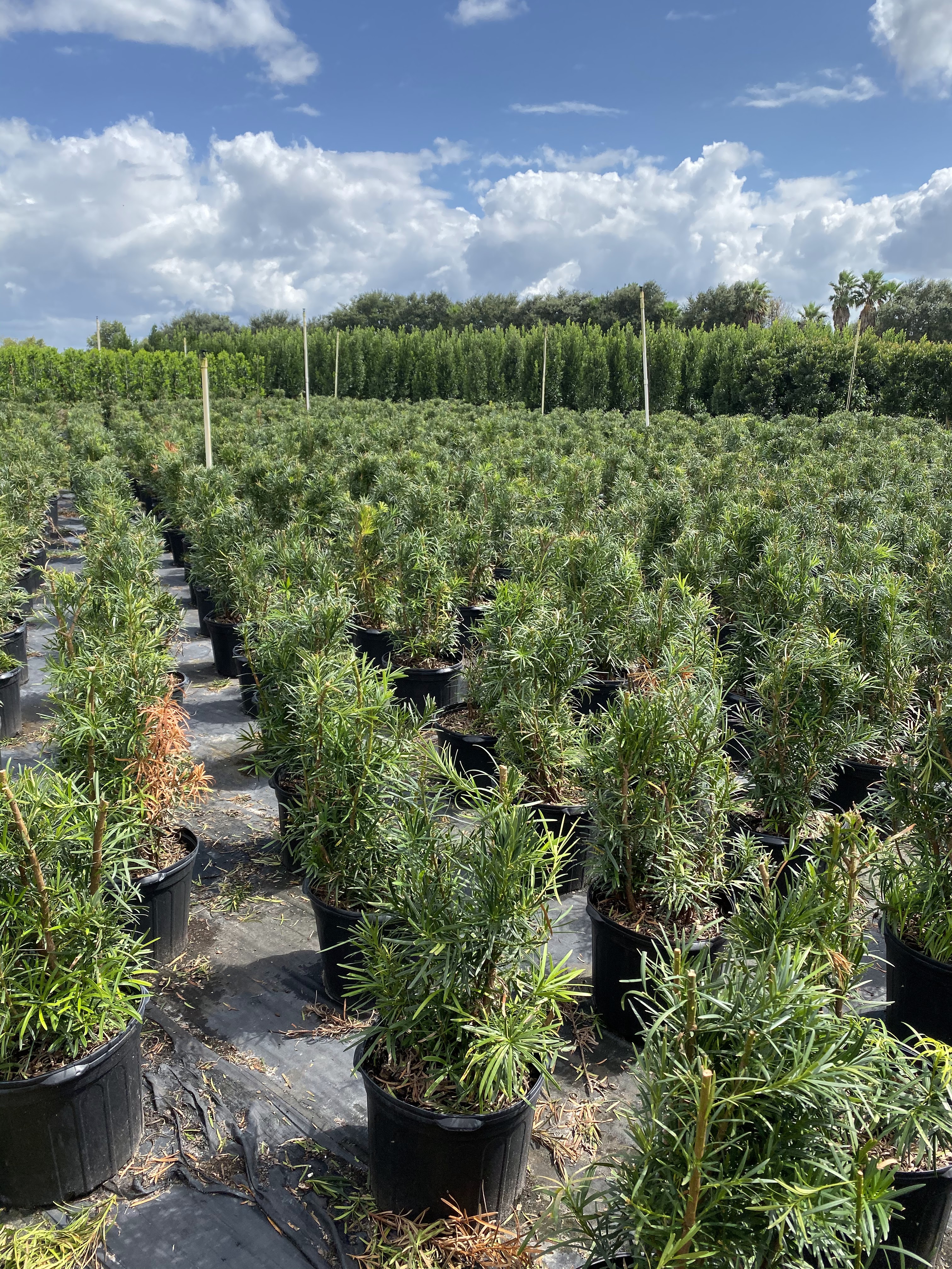 Heartland Farms