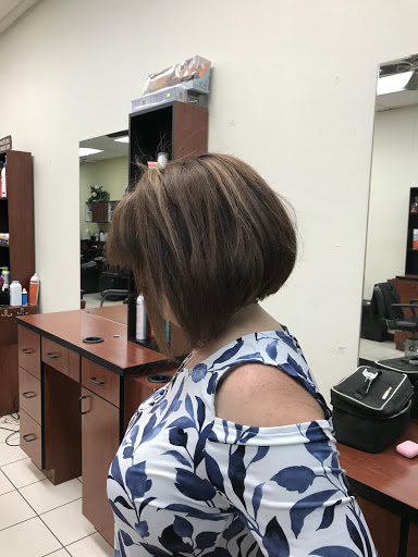 Z3 Salon - Visual
