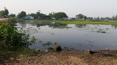 Photos of Taruwa Pond