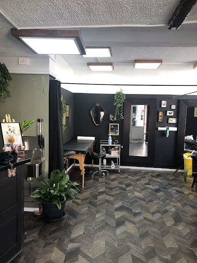 Morpho Gallery - Visual