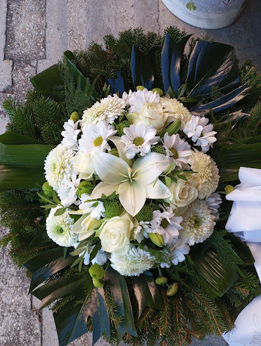 Comentarii opinii despre Réka Virág-Ajándék