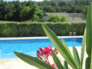 Photo n°19 de Le Mas de GUFFIAGE à Bollène (Lodge)